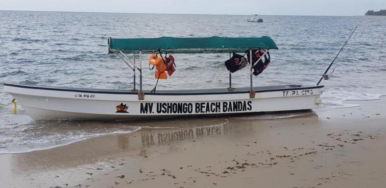 Ushongo Beach Bandas Pangani Kültér fotó